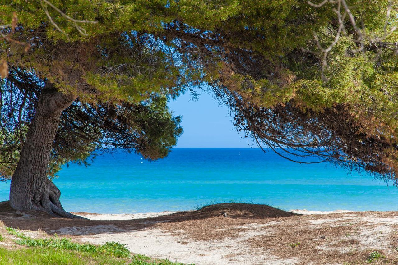 Villa Son Valenti Sa Pobla Esterno foto