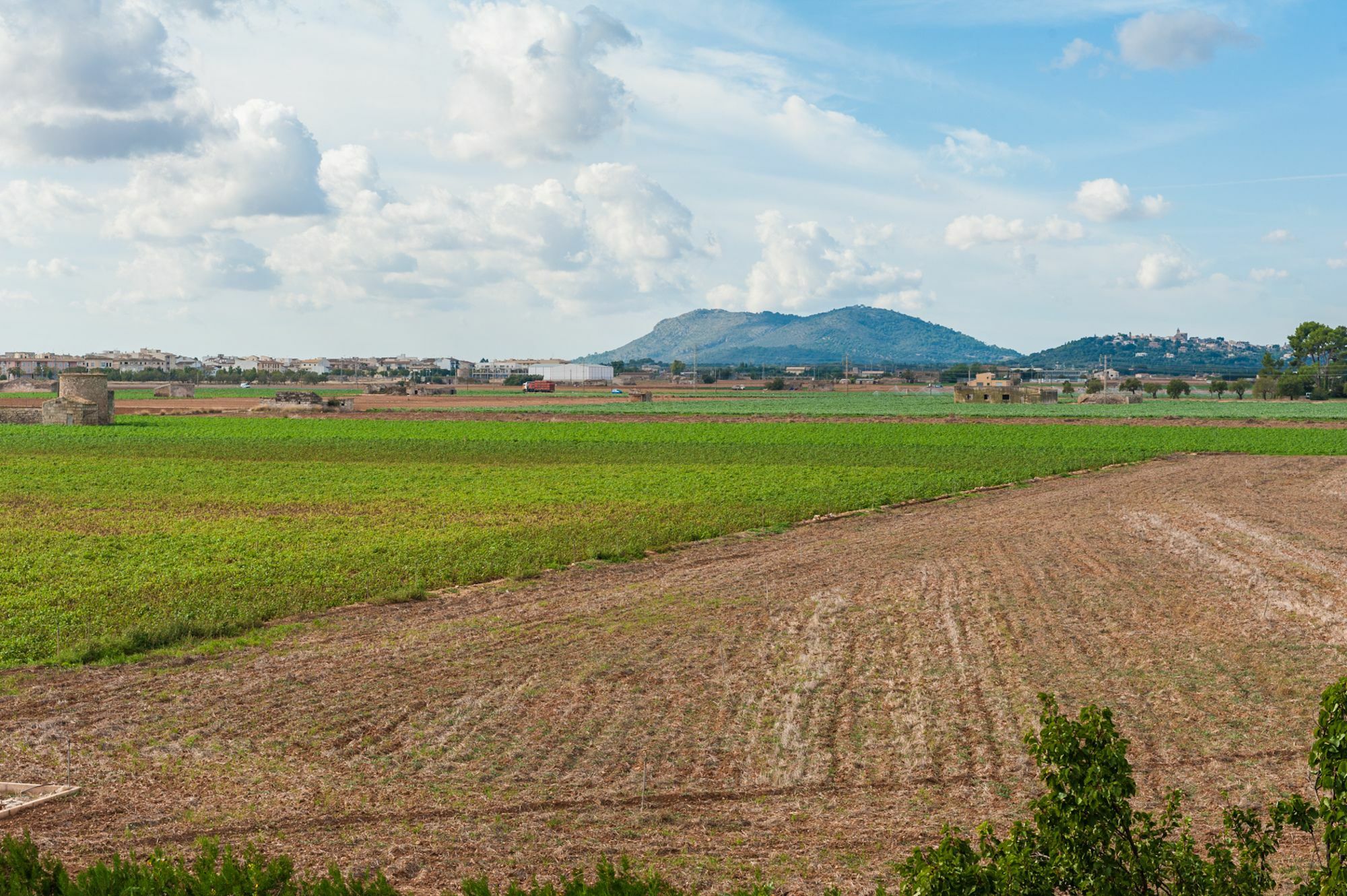 Villa Son Valenti Sa Pobla Esterno foto